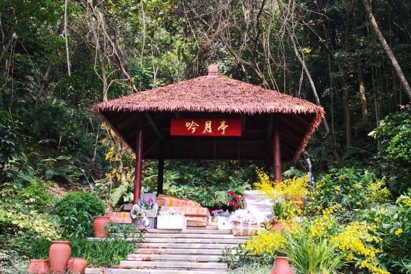 廣西高峰森林公園旅游攻略-門票價格-景點信息