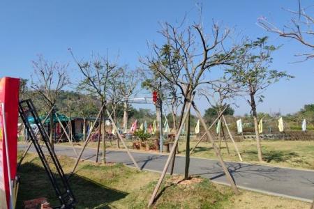 珠海岭南大地百草园旅游攻略-门票价格-景点信息