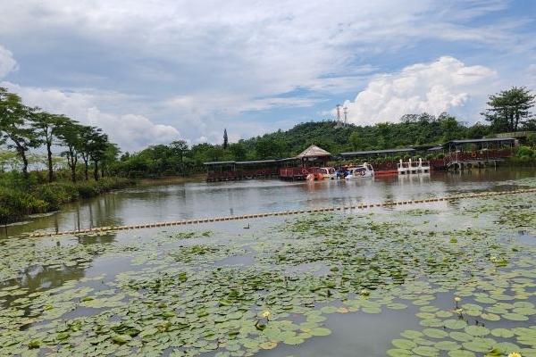 嶺南大地百草園有什么好玩的