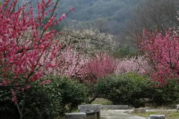 2024苏州雨花胜境门票优惠政策