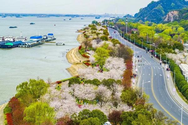 南京哪里可以野餐