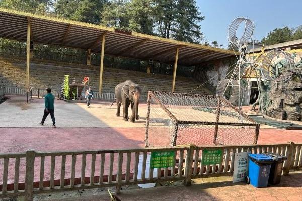 2024貴州森林野生動物園門票多少