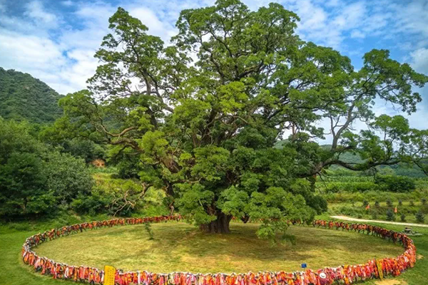 平凉市有哪些乡村旅游线路推荐