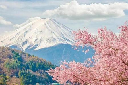 日本樱花什么时候开 日本樱花几月份开