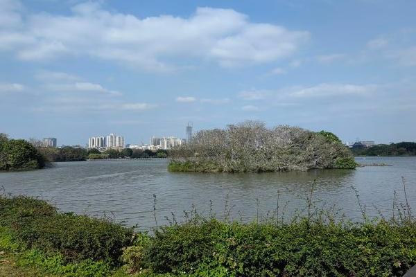 海珠湖公園要預約嗎現在