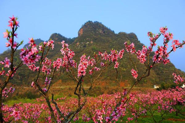 長沙周邊爬山的地方有哪些