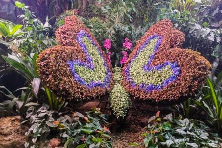 2024广州正佳雨林生态植物园旅游攻略-门票价格-景点信息
