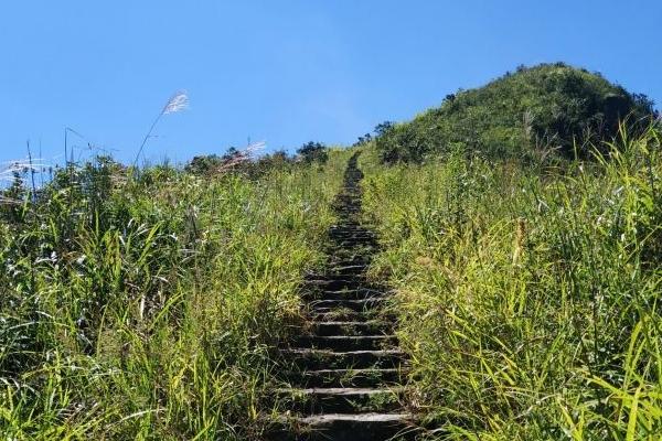 2024銅鼓峰風景區游玩攻略-門票價格-景點信息