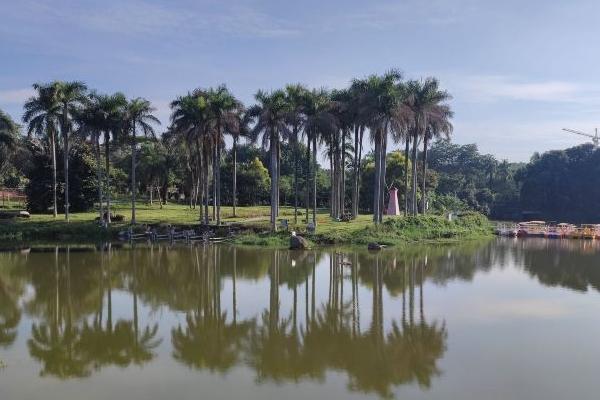 海南热带植物园旅游攻略-门票价格-景点信息