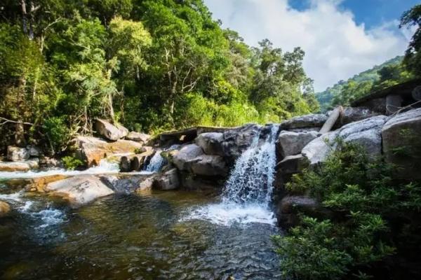 海南热带雨林国家公园门票优惠政策