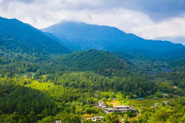 海南熱帶雨林國家公園門票優惠政策