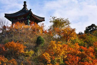 香山公園什么時候去最好  香山公園門票是多少