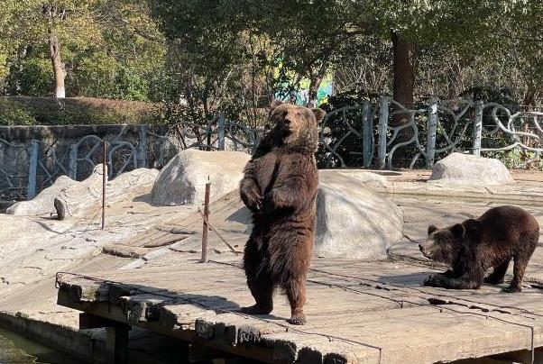 常州淹城動物園自駕車在哪個門進去