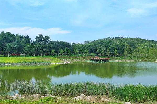 北京南苑森林湿地公园观景台怎么预约2024