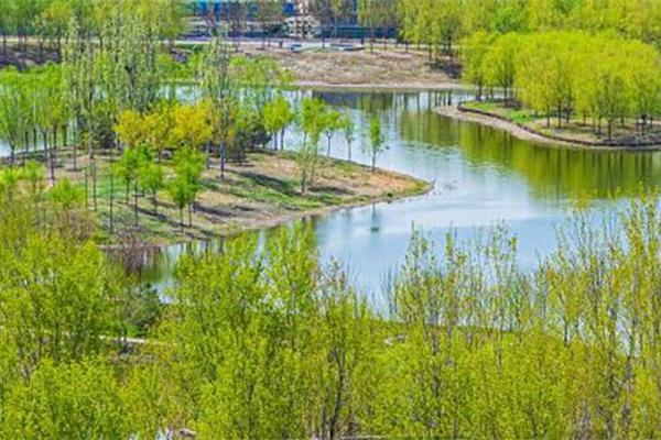 北京南苑森林湿地公园观景台怎么预约2024