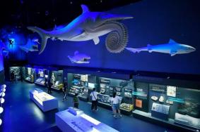 2024国家海洋博物馆营业时间