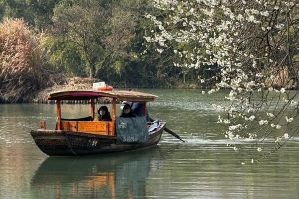 杭州西溪湿地公园游船路线怎么走