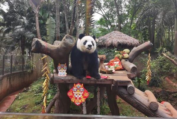 海南熱帶野生動植物園值得去嗎