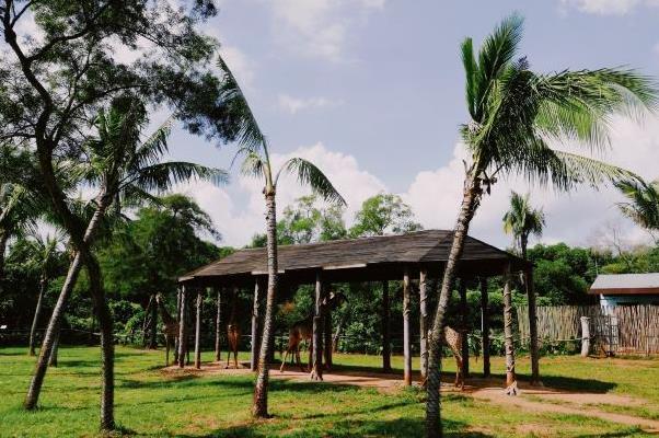海南热带野生动植物园值得去吗