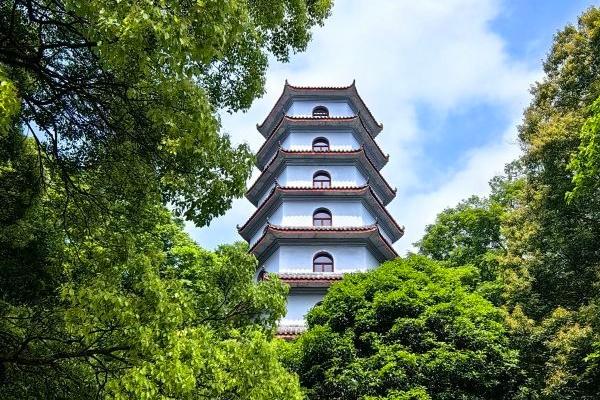 圣燈山森林公園游玩攻略-門票價格-景點信息