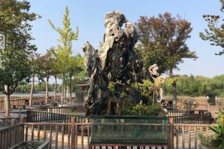 高家庄生态园游玩攻略-门票价格-景点信息