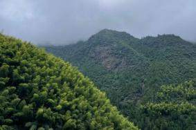 2024龙泉山景区门票多少