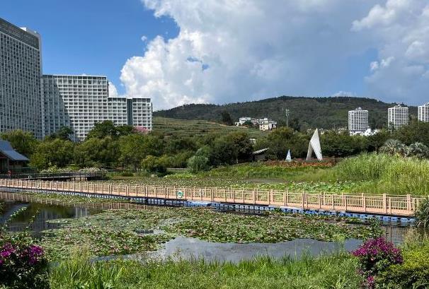 云南撫仙湖旅游景點介紹