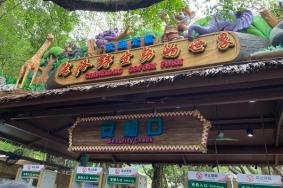 广州长隆动物园游玩路线推荐