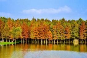 2024杭州青山湖水上森林郊野公园游玩攻略-门票价格-景点信息
