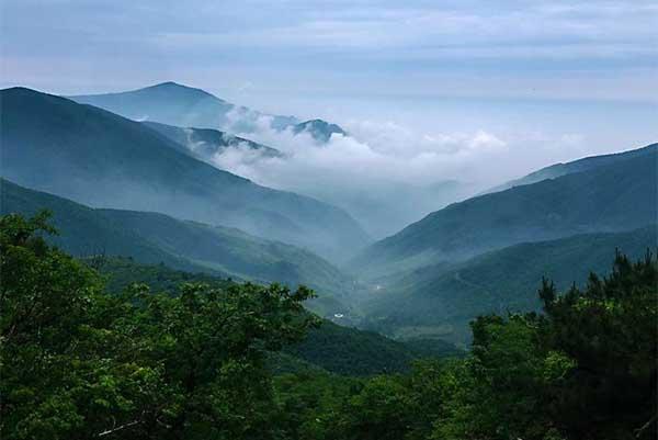 2024西天目山風(fēng)景區(qū)門票多少錢