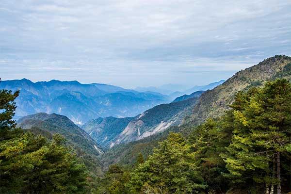 2024西天目山風(fēng)景區(qū)門票多少錢