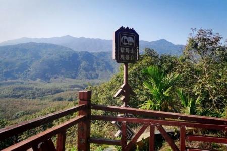 2024黎母山森林公园旅游攻略-门票价格-景点信息