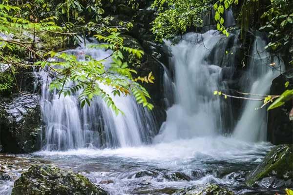 2024千岛湖红山谷景区门票多少钱