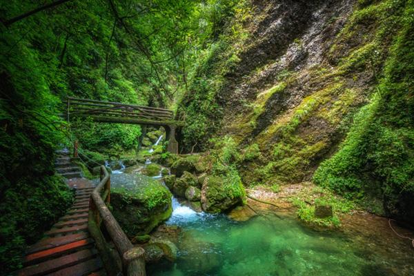 青城后山旅游攻略-門票價格-景點信息