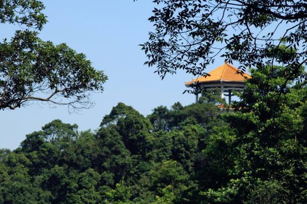 广州正佳帽峰湾旅游文化景区在哪里