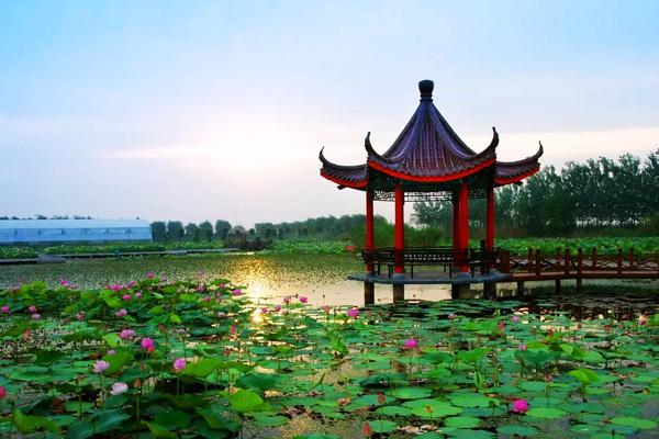 泗洪洪泽湖湿地景区在哪