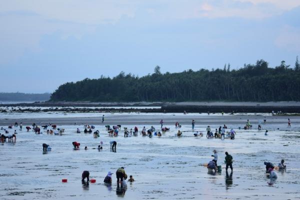 三亞趕海時間和最佳地點