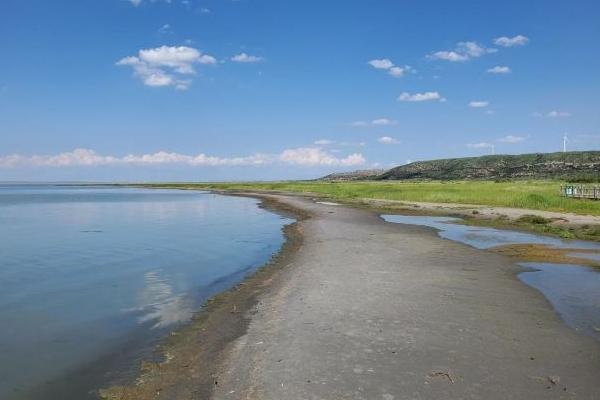 2024达里湖南岸景区门票价格