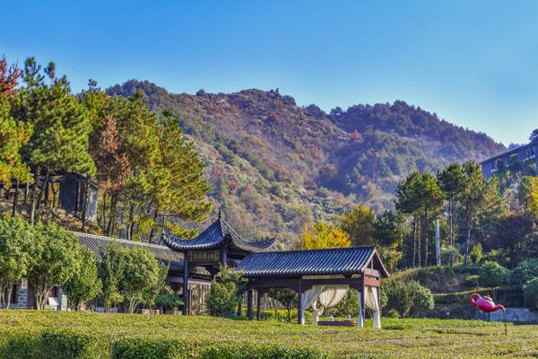 2024武汉中高考生免费的旅游景点