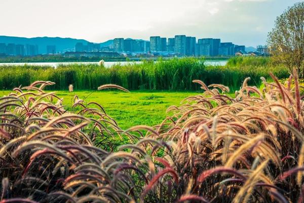 昆明市區(qū)有哪些景點值得去玩