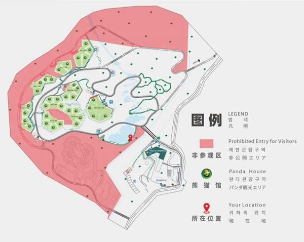 福宝在四川哪个熊猫基地