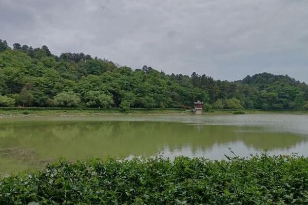 長坡嶺森林公園有什么好玩的