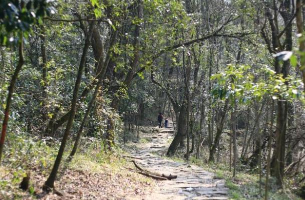 長坡嶺森林公園有什么好玩的