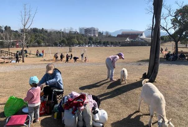 2024金華中高考生免費旅游景點