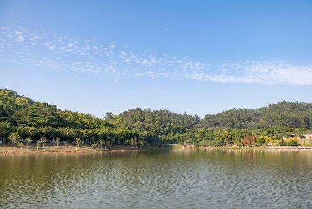 廣州的公園有哪些景點好玩