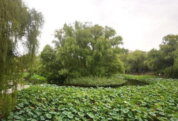 北京小眾免費的公園有哪些地方