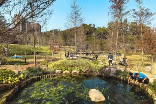 深圳夏季避暑旅游好去處