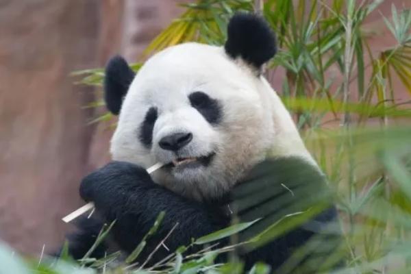 樂和樂都動物園優惠門票