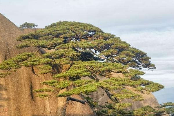 黃山看日出日落最佳位置在哪里