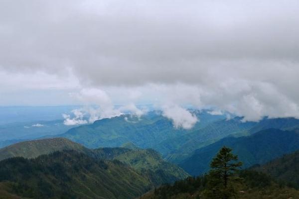 西岭雪山景区直通车在哪里坐